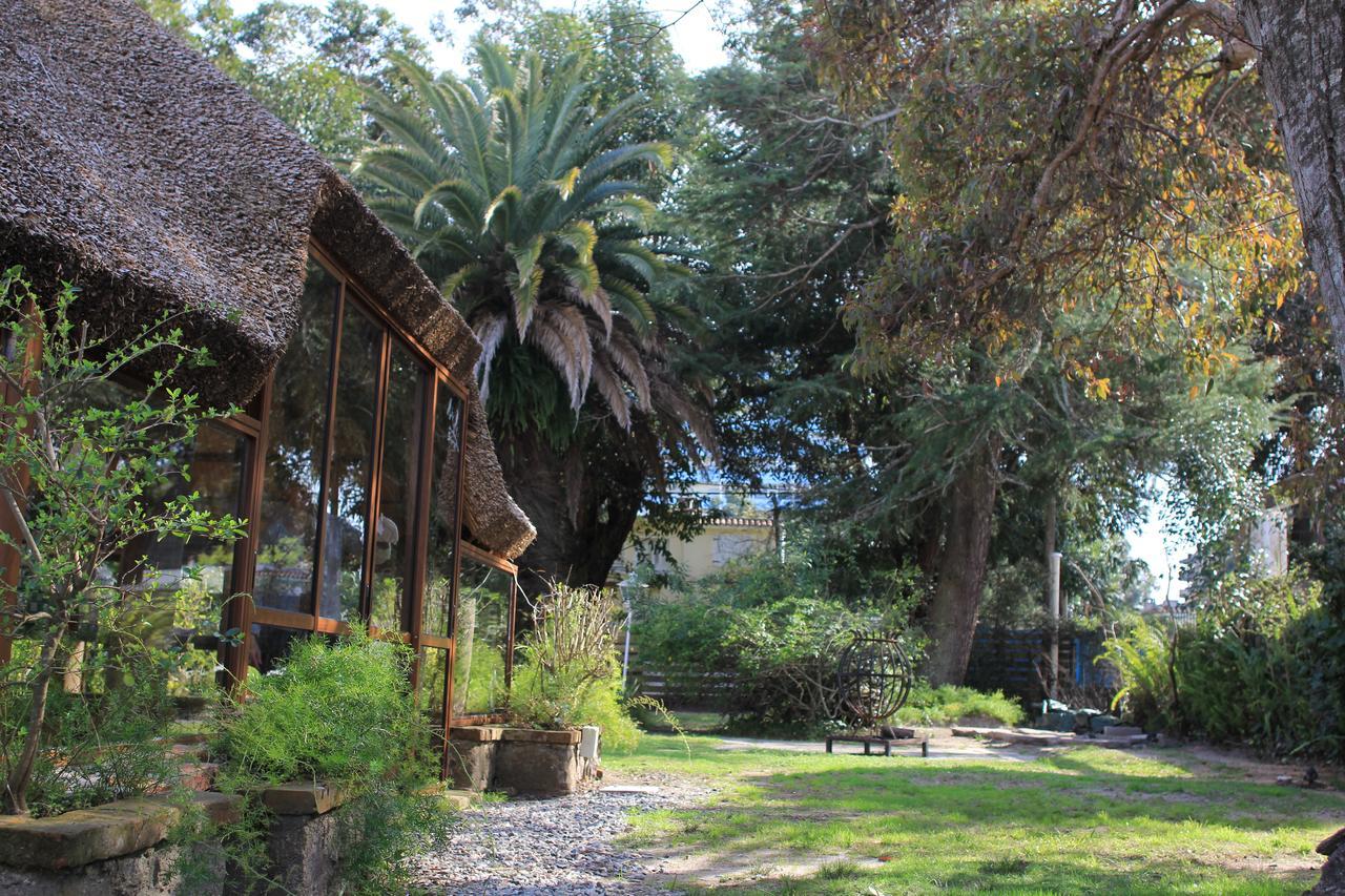 Santoral Restaurante Y Posada Pet Friendly Атлантида Екстер'єр фото